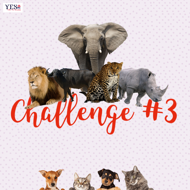 Challenge #3